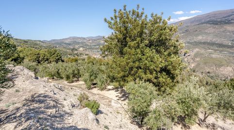 Photo 5 of Land for sale in El Pinar, Granada