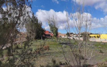 Flat for sale in Tefía - Tetir