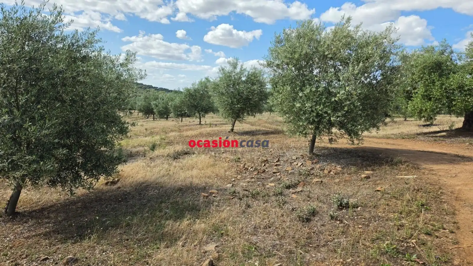 Residential land for sale in Fuente Obejuna, imagen 13