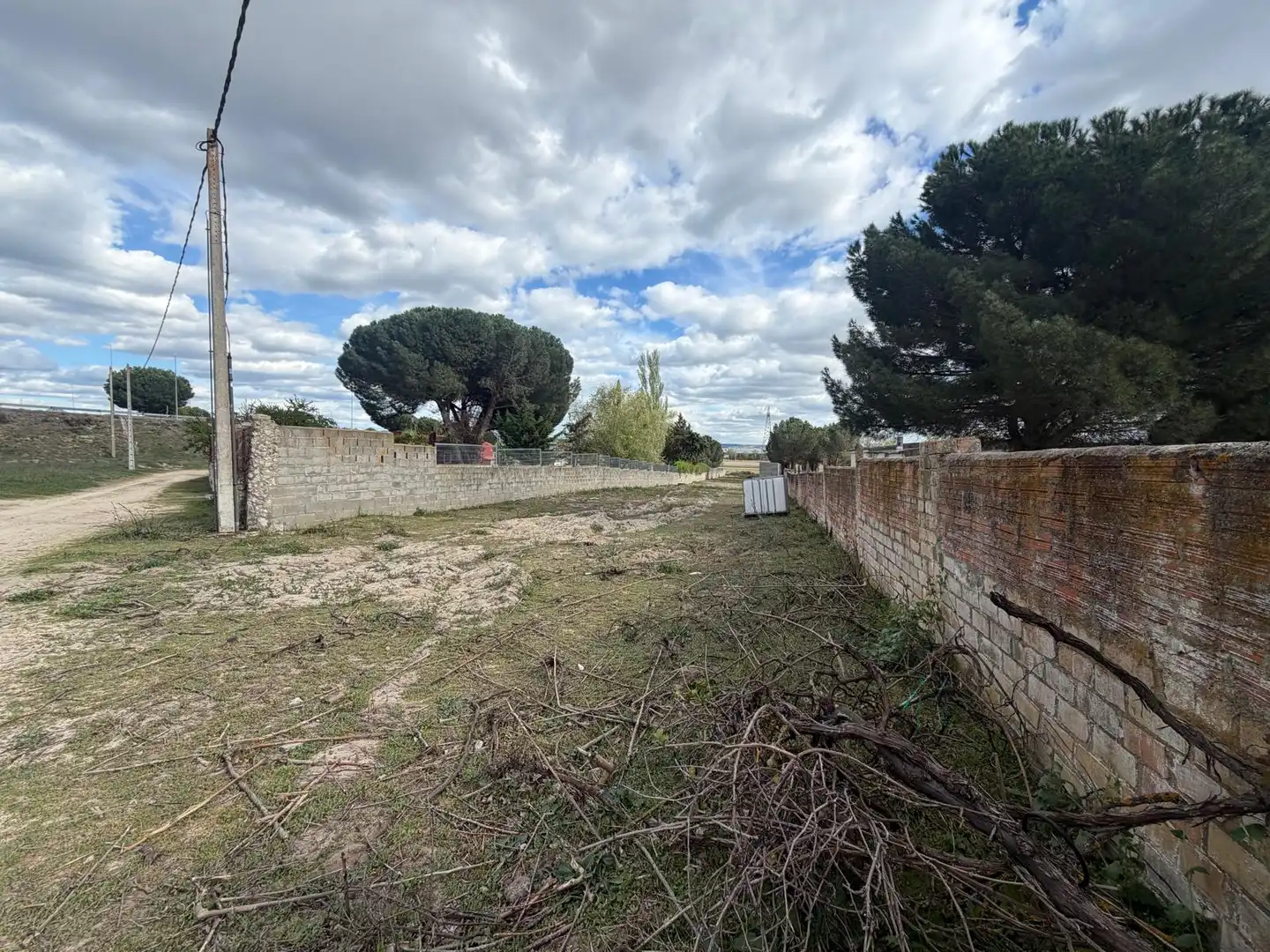 Terreno rustico in vendita a Diseminado Diseminados, imagen 6