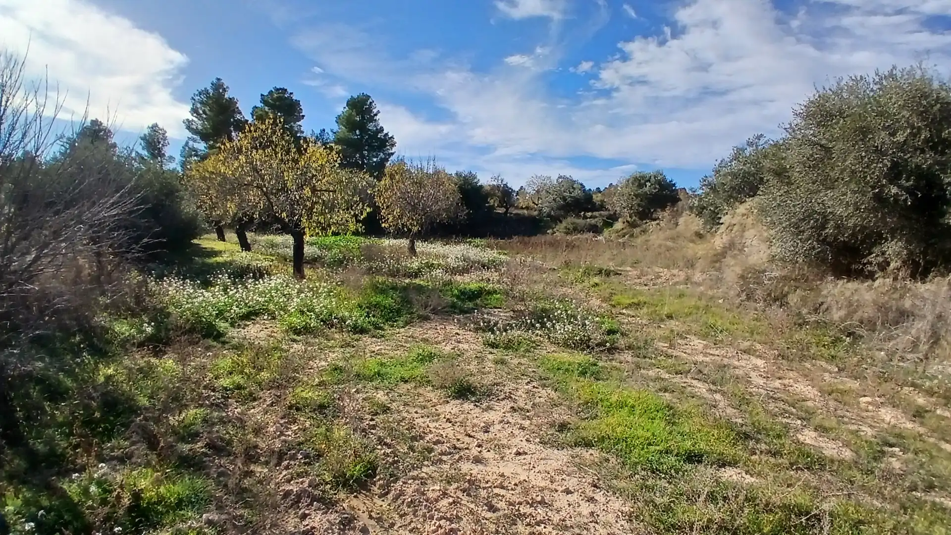 Terreni e lotti in vendita a Camino Fuente 5, imagen 21