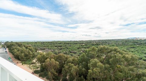 Foto 4 de Apartamento en venta en Buenavista, Guardamar del Segura