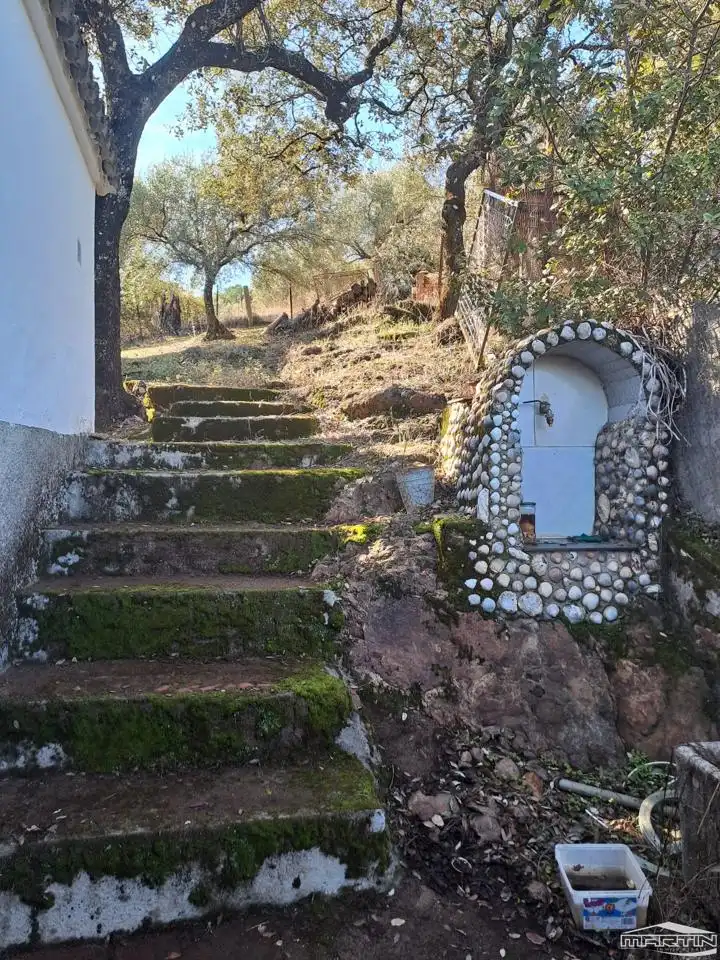 Jardín de Casa o chalet en venta en Villaviciosa de Córdoba con Piscina