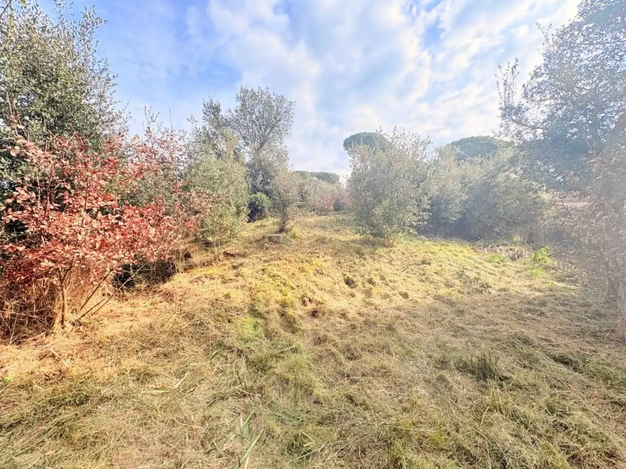 Residential for sale in Caldes de Malavella
