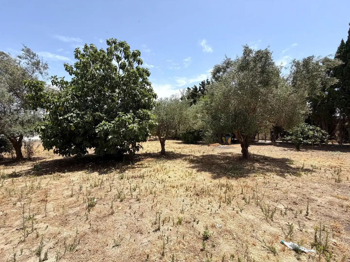 Houses for sale in El Puerto de Santa María  with Private garden