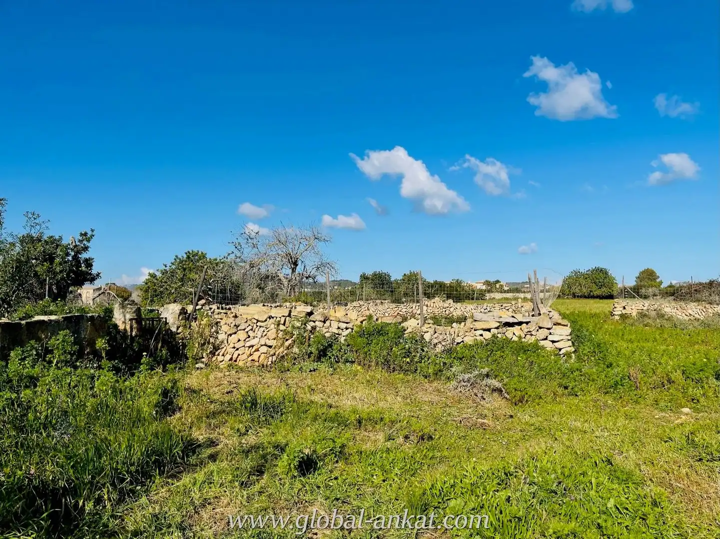 Finca rústica en venta en Manacor