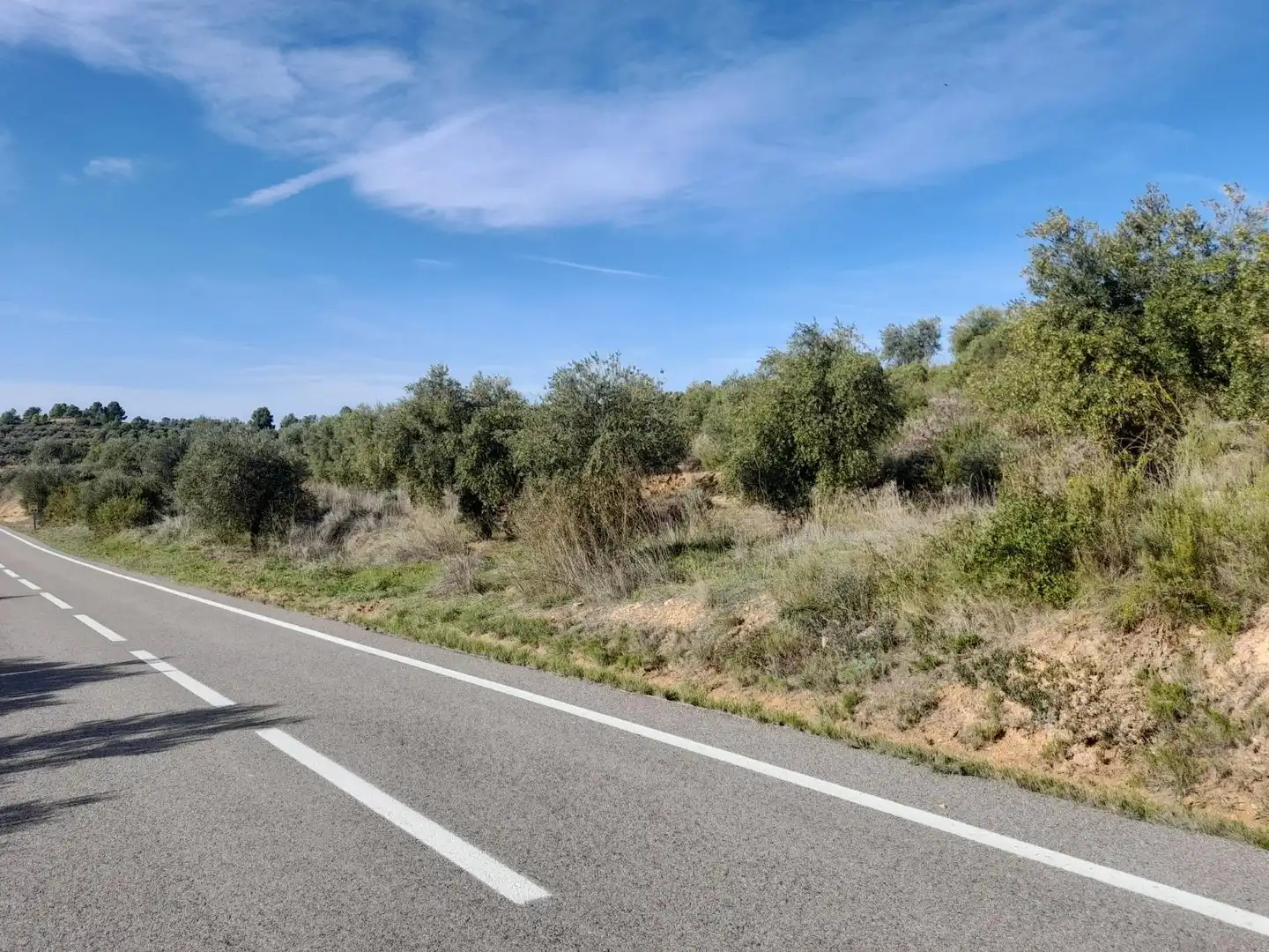 Land for sale in La Palma d'Ebre