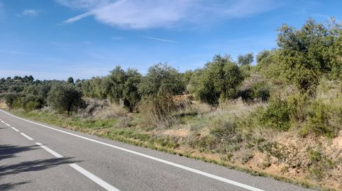 Foto 4 de Terreno en venta en La Palma d'Ebre, Tarragona