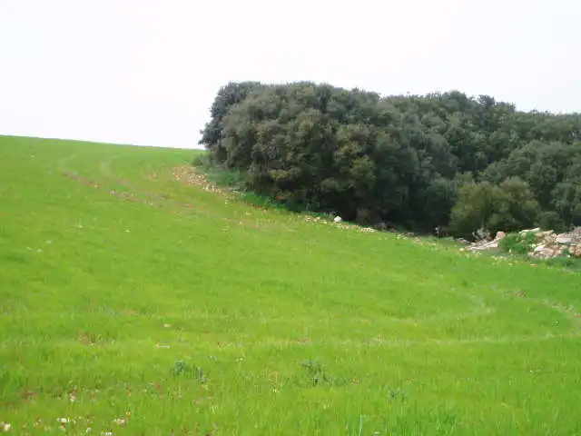 Terreni e lotti in vendita a Motilla del Palancar, imagen 6