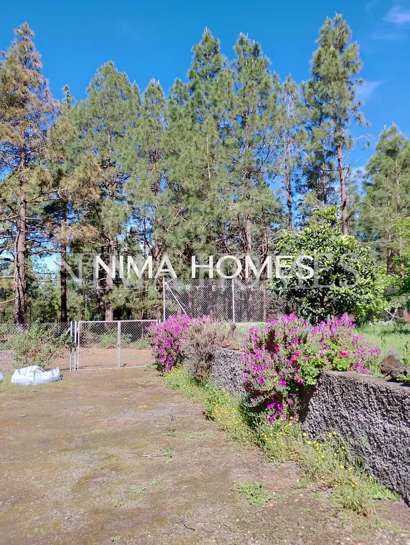 Maison rustique avec jardin à vendre à Montaña - Zamora, imagen 12