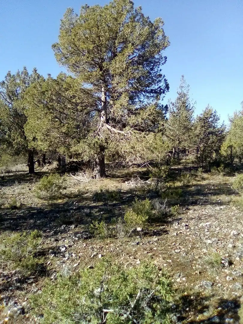 Terreno en venta en Casla