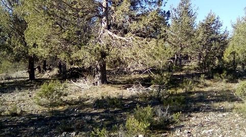 Photo 5 of Land for sale in Path Calle Mayor, 1, Casla, Segovia