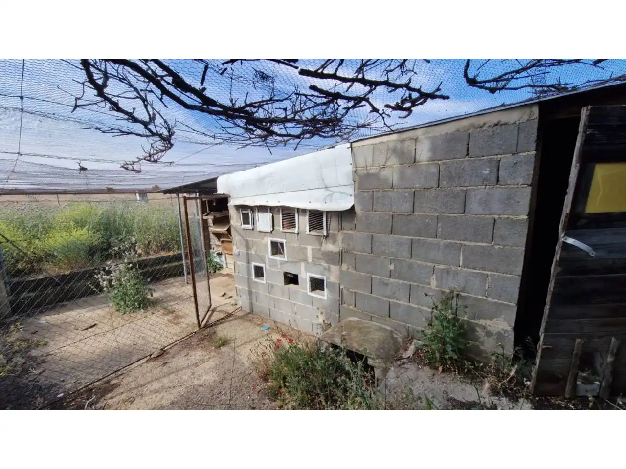 Terreno rustico in vendita a Ciudad Rodrigo, imagen 11