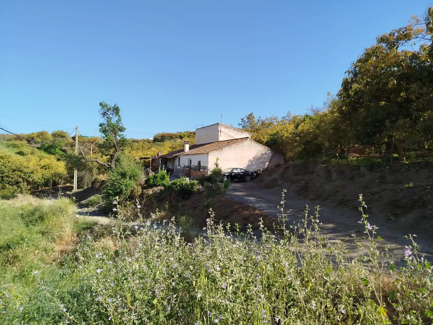 Vista exterior de Finca rústica en venda en Benamocarra amb Jardí privat
