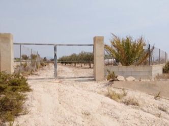 Land for sale in Alicante / Alacant