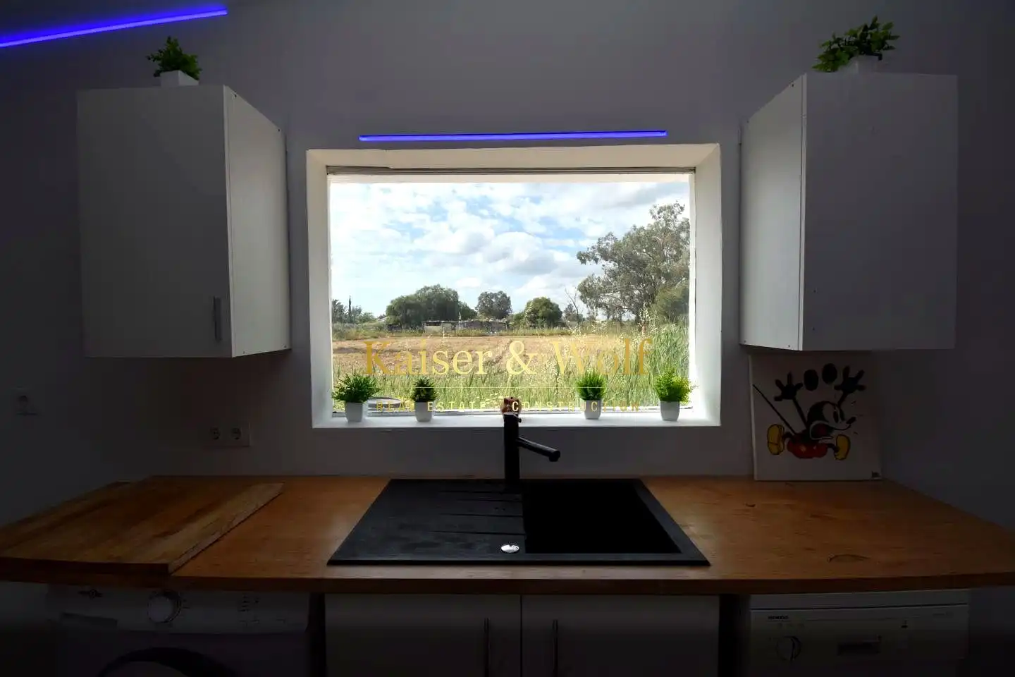 Cocina de Finca rústica en venta en Elche / Elx con Jardín privado