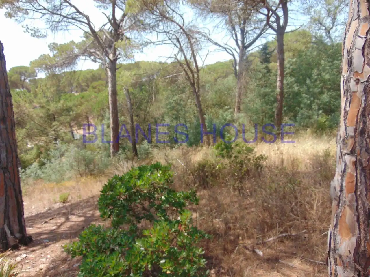 Residential land for sale in Calle PUIGMAL, imagen 6