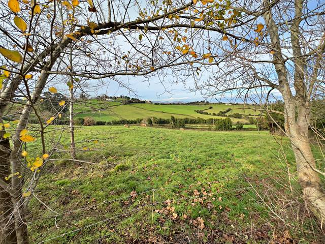 Terreno residencial en Venta en Santurio