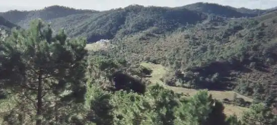 Terreni e lotti in vendita a Estepona - Estepona,Centro,Camino de Montesol, imagen 18