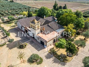 Casa con jardín en venta en Bollullos de la Mitación
