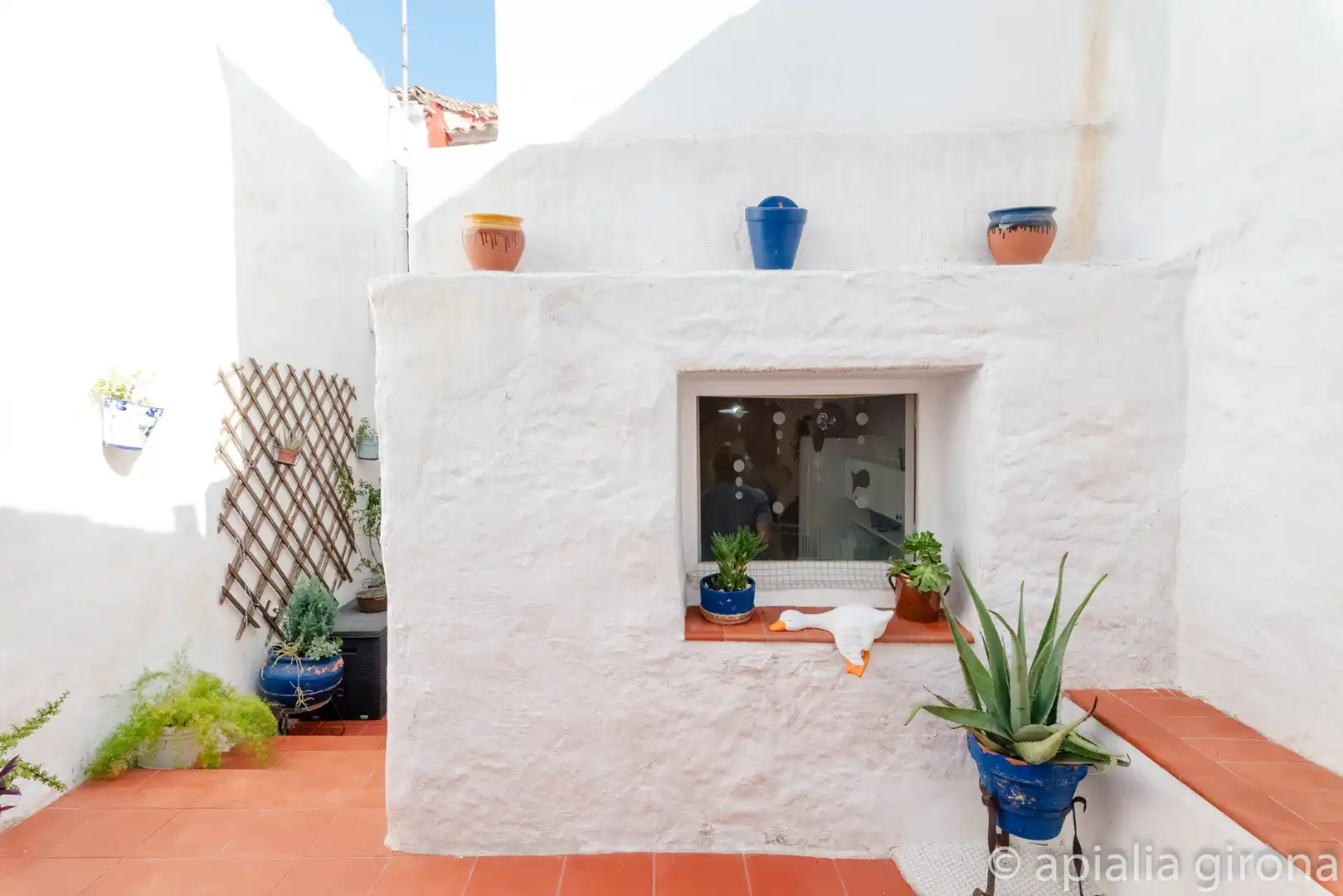 House for sale in Oliva pueblo, imagen 7