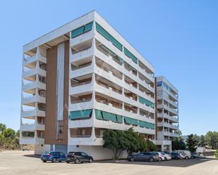 Vista exterior de Apartament en venda en Pareja