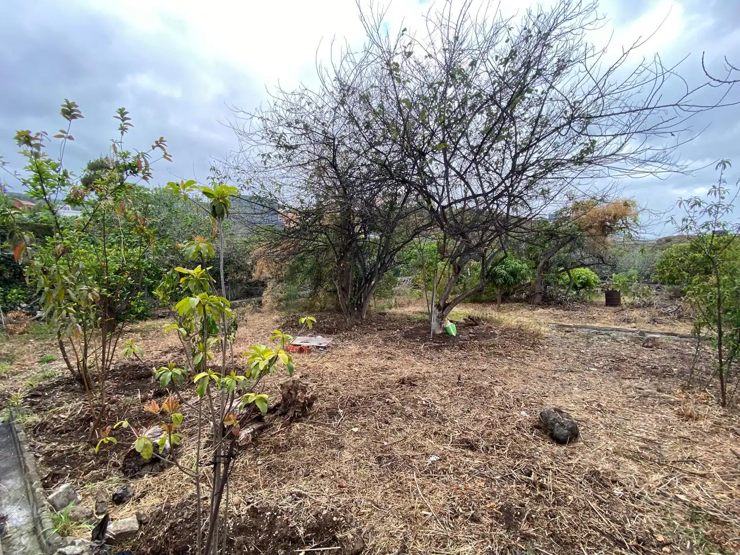 Residential land for sale in Camino la Cueva del Rey 8, imagen 26