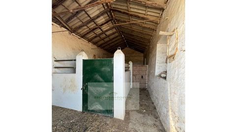 Foto 3 von Haus oder Chalet zum Verkauf in Bobadilla - Bobadilla Estación - La Joya, Antequera