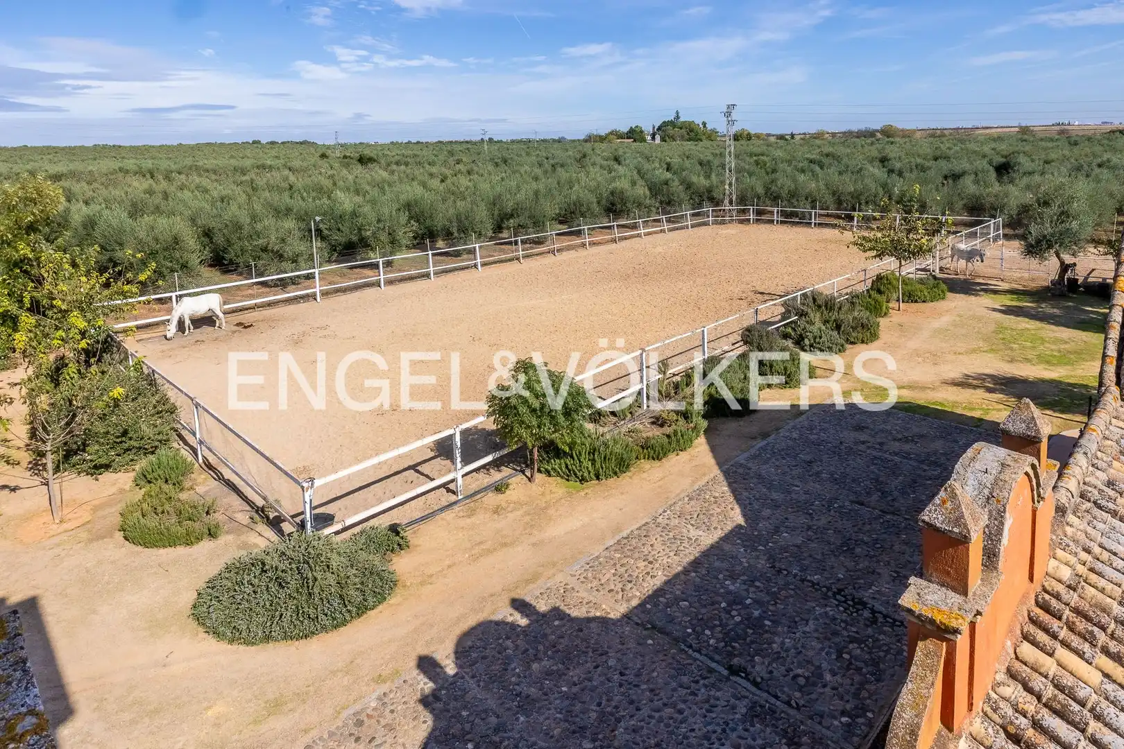 Maison avec jardin à vendre à Bollullos de la Mitación, imagen 8