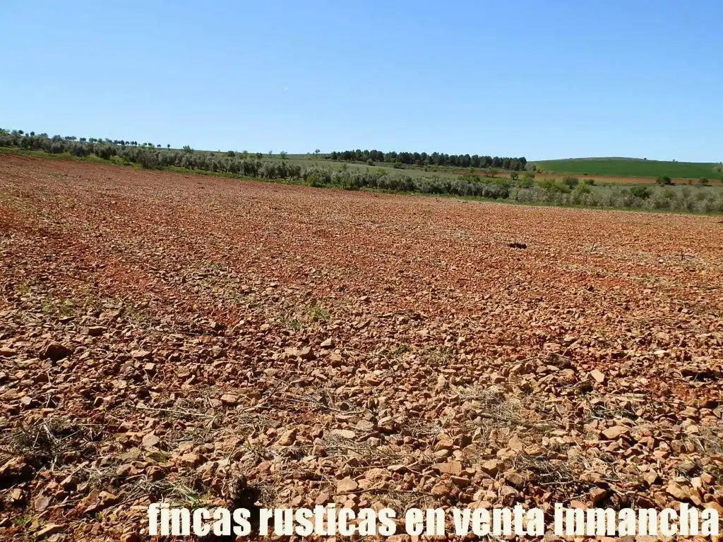 Rural land for sale in Valdepeñas, imagen 18