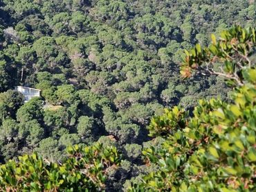 Terreno rústico en venta en Sant Cebrià de Vallalta