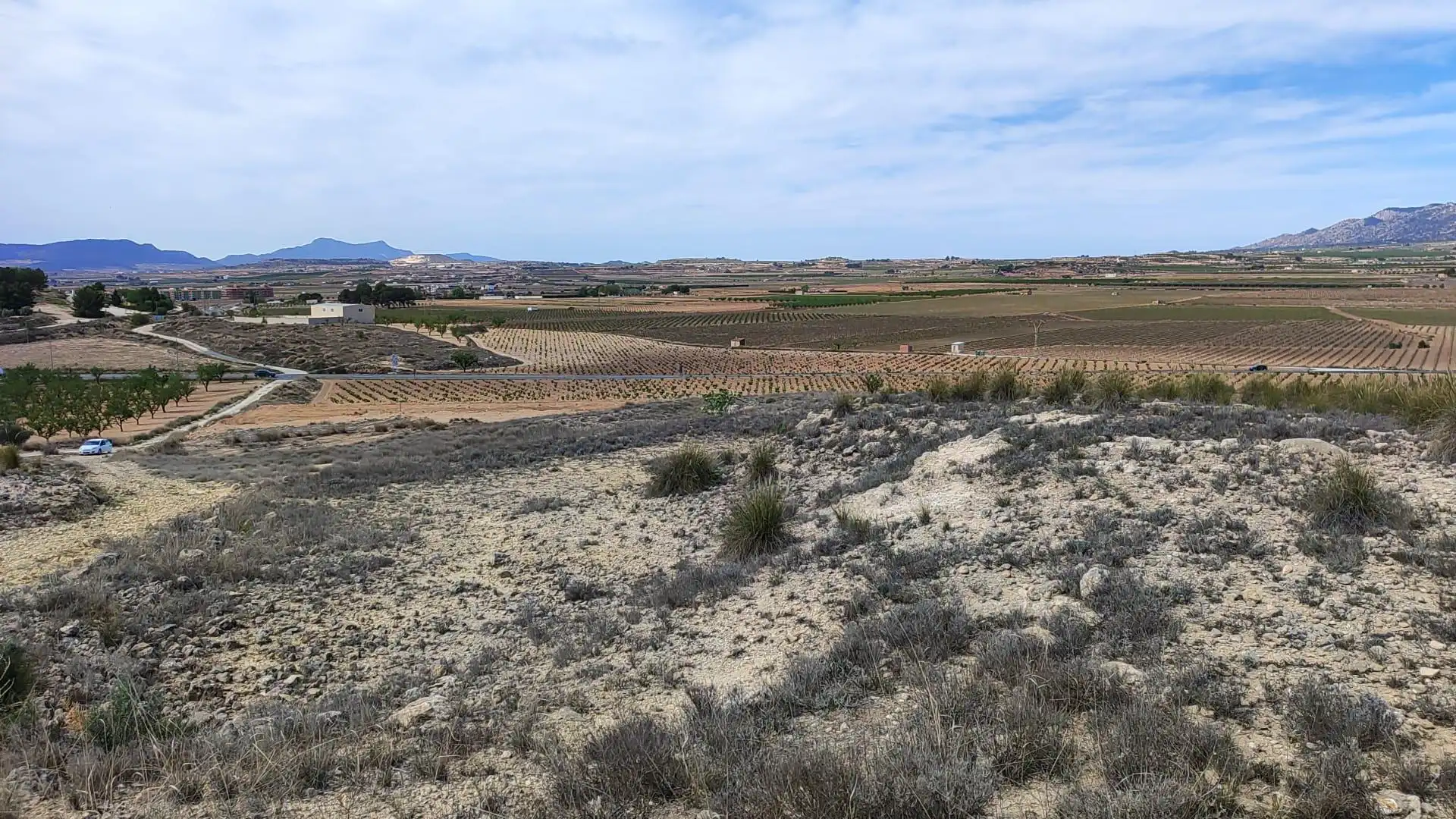 Rural land for sale in El Pinós / Pinoso, imagen 9