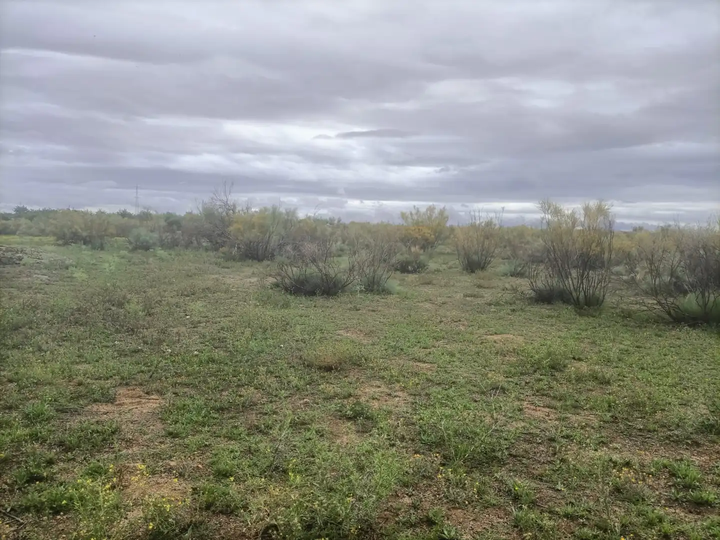 Rural land for sale in Almonacid de Toledo, imagen 2