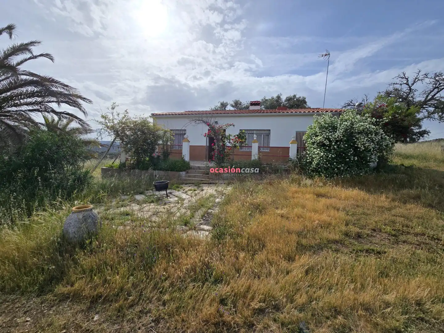 Casa o xalet en venda en Alcaracejos