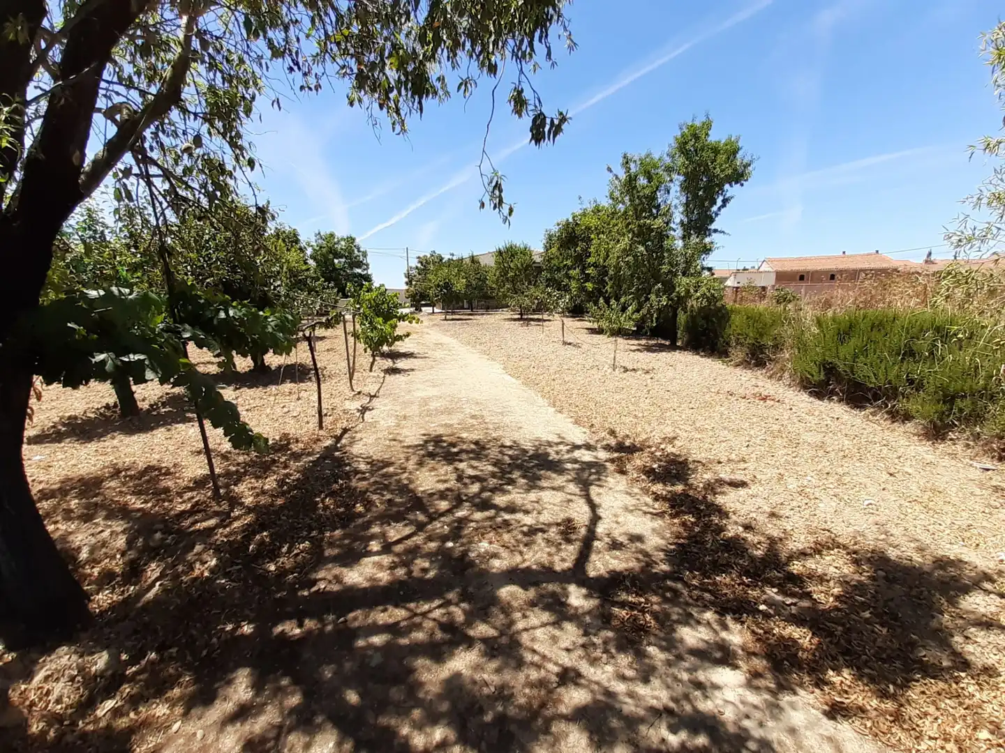 Casa o chalet en venta en Casaseca de las Chanas con Calefacción