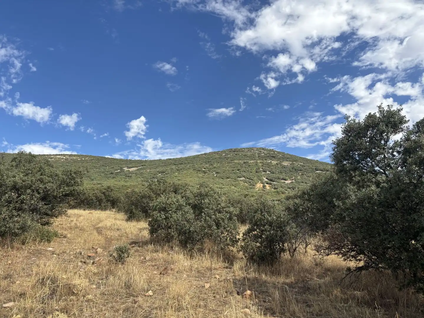 Country homes for sale in Orgaz