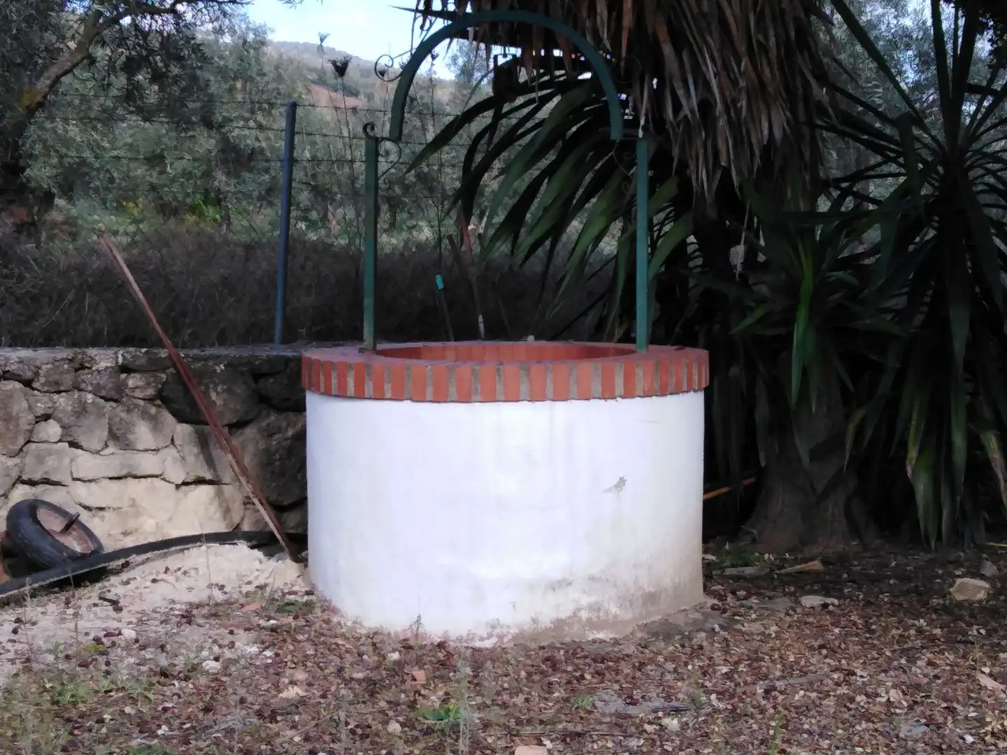 Casa rústica amb piscina en venda a Partidas Norte, imagen 49