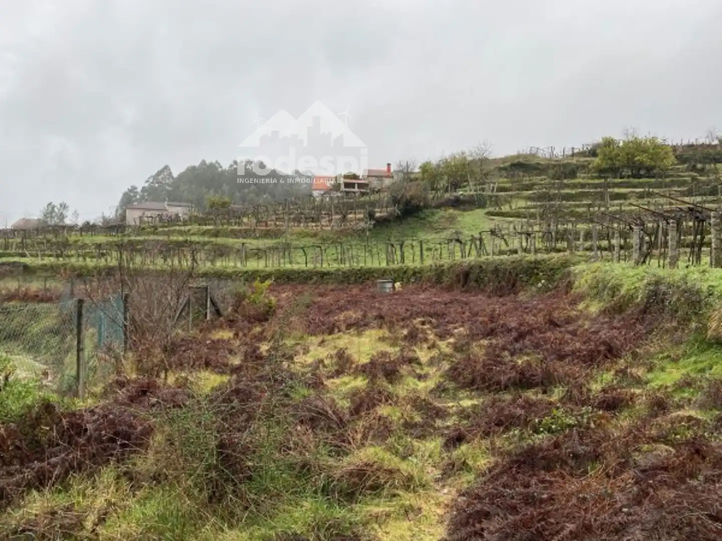 Terreny rústic en venda a A Cañiza, imagen 3