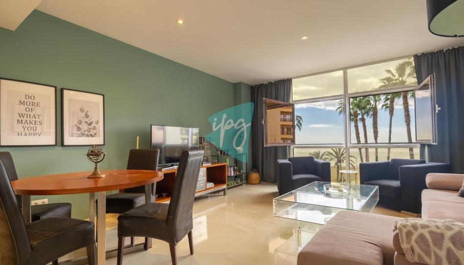 Photo 1 of Apartment to rent in Centro, Málaga