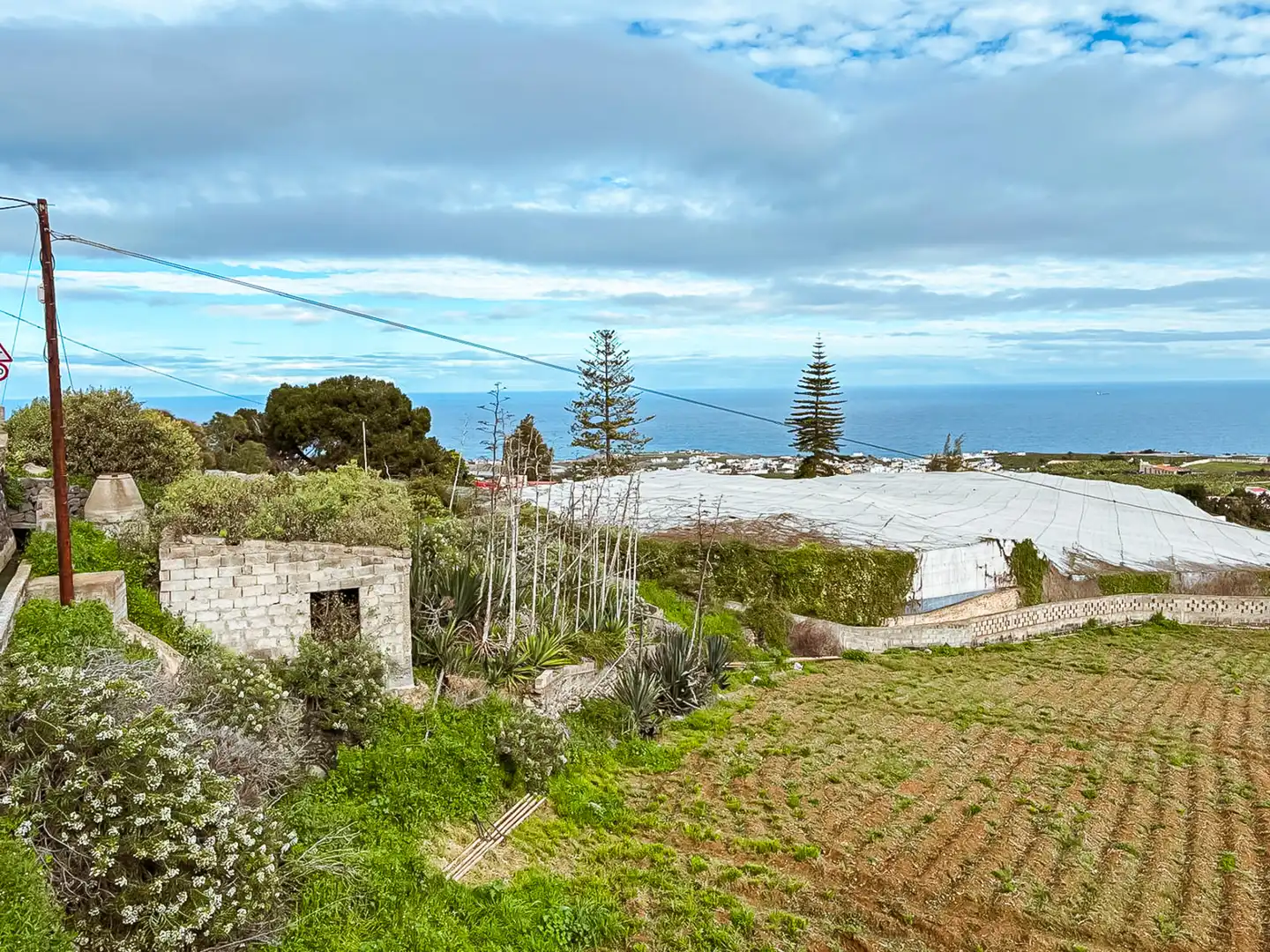 Detached homes for sale in Arucas  with Terrace
