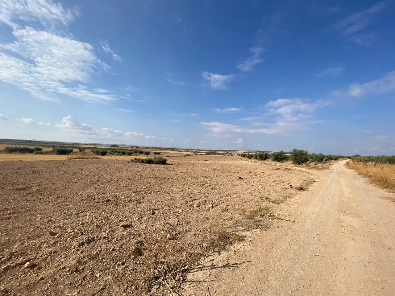 Terreny rústic en venda a Carretera Pozuelo de Calatrava 27, imagen 6