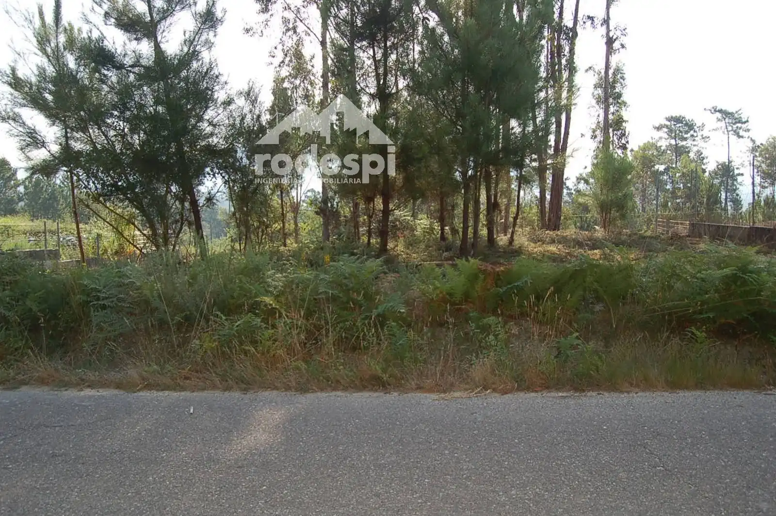 Rural land for sale in Salvaterra de Miño, imagen 10