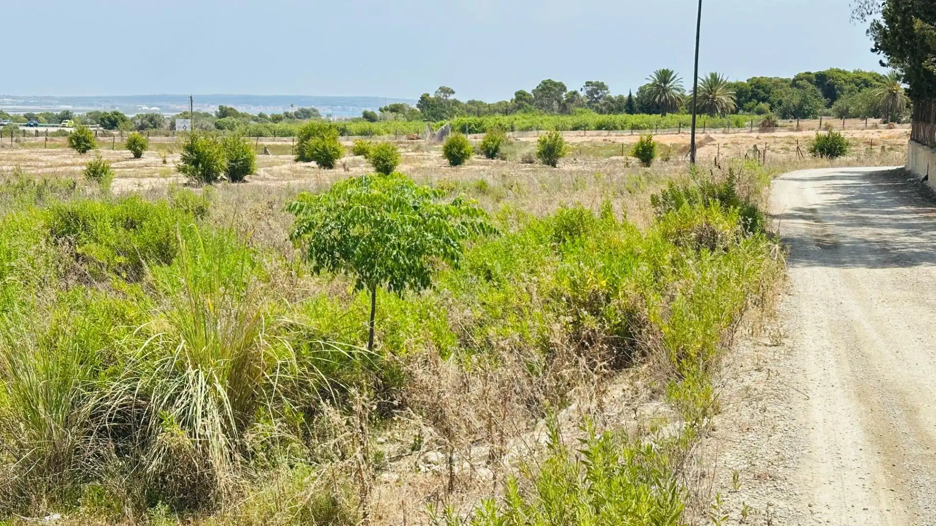 Terrain rustique à vendre à La Marina, imagen 4