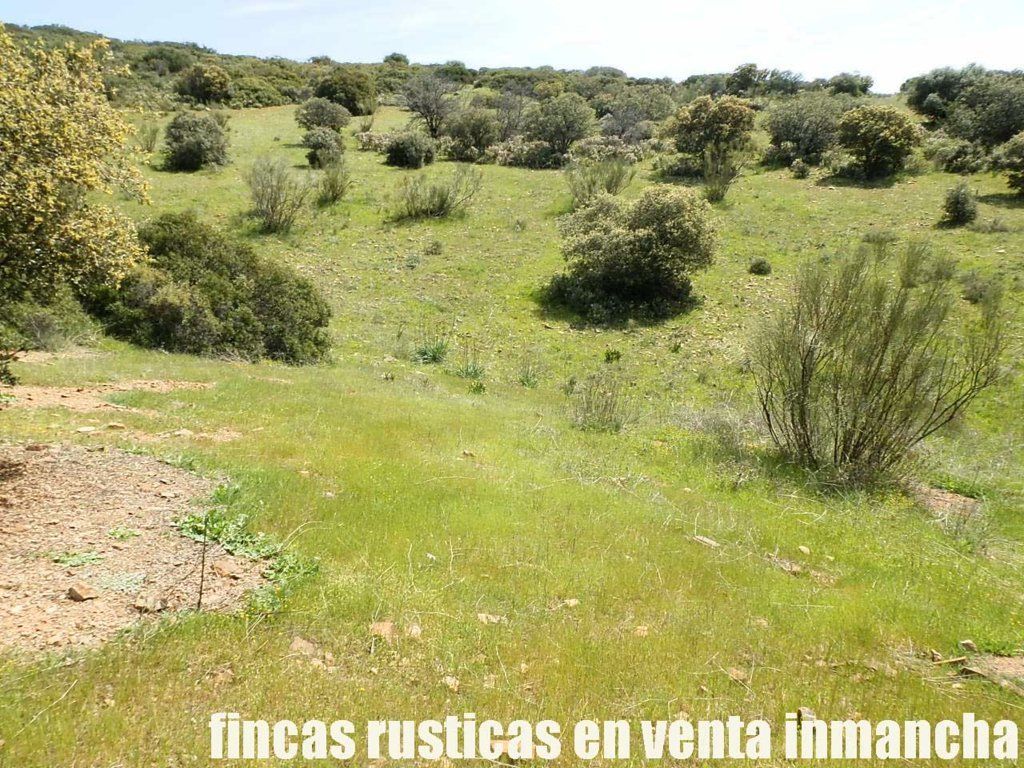 Terreno en venta en Calzada de Calatrava
