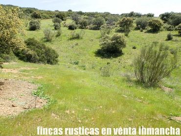Rural land for sale in Calzada de Calatrava