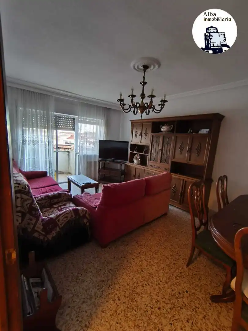 Sala d'estar de Pis en venda en Alba de Tormes amb Calefacció i Terrassa