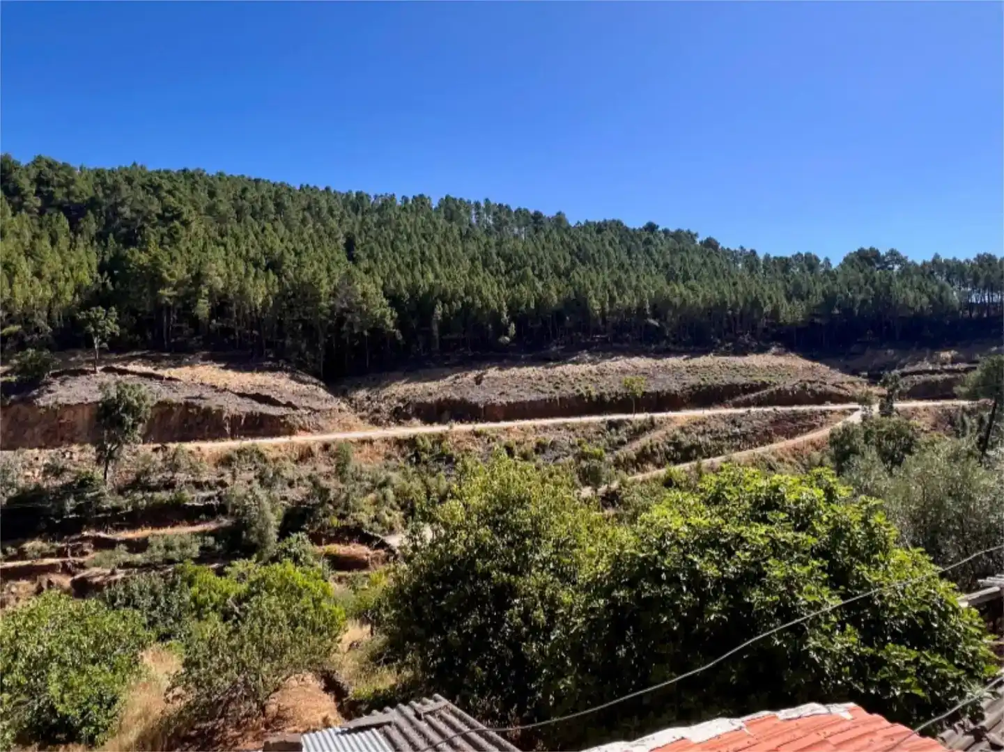 Apartments for sale in Pinofranqueado, Cáceres