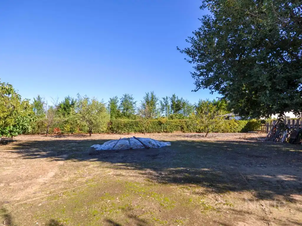 Casa o chalet en venta en Fuente El Saz de Jarama, Madrid
