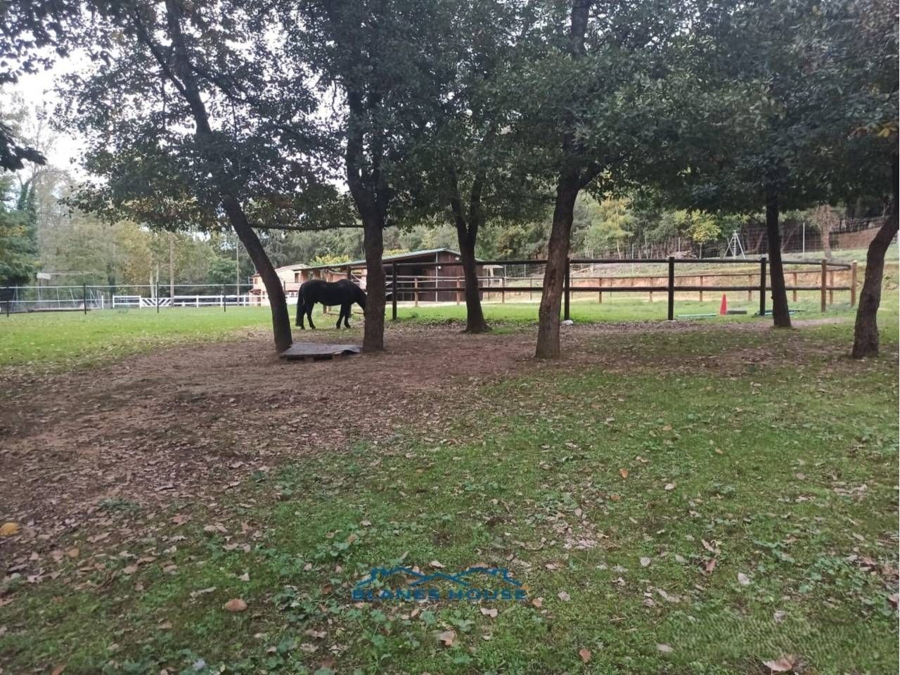 Exterior view of Country house for sale in Fogars de la Selva  with Heating, Private garden and Terrace