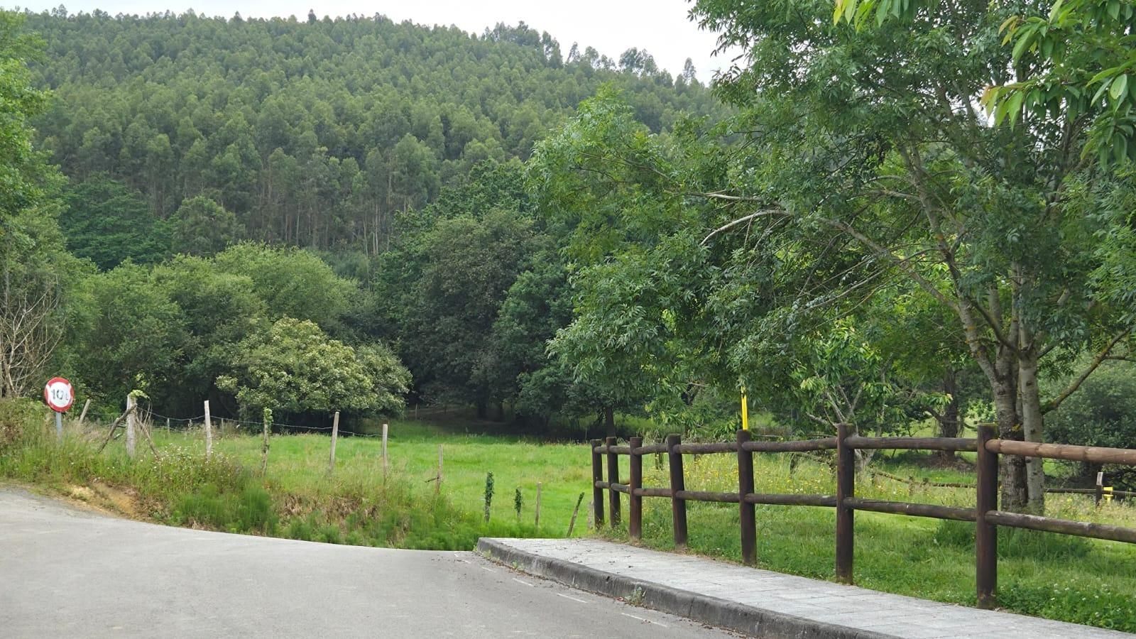 Exterior view of Land for sale in Bárcena de Cicero